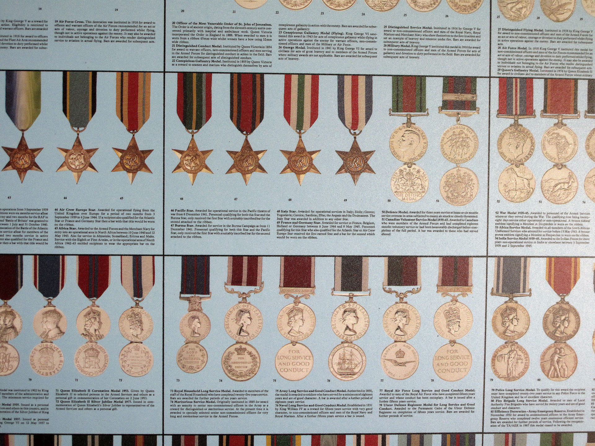 Identification Poster